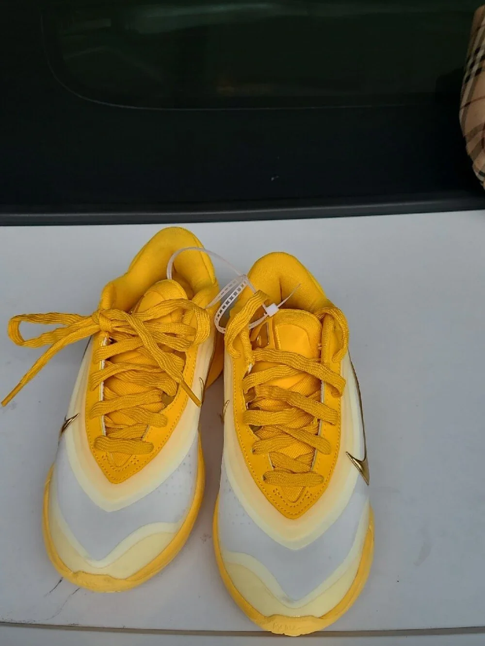 Nike brand new